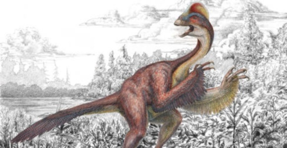 pollo-infierno-sinc.jpg