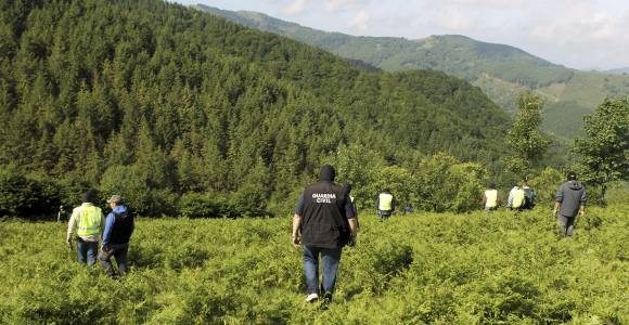 bosque-gudaris-efe.jpg
