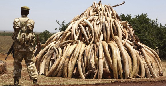 kenia-marfil-efe.jpg