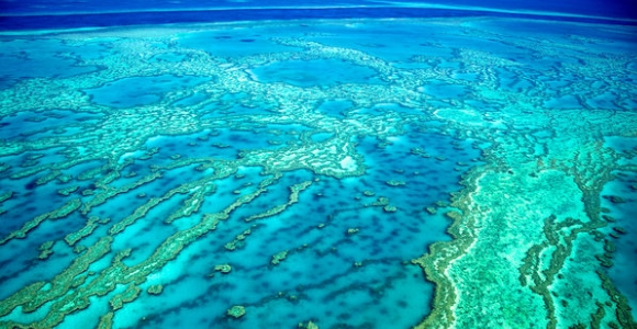 barrera-coral.jpg