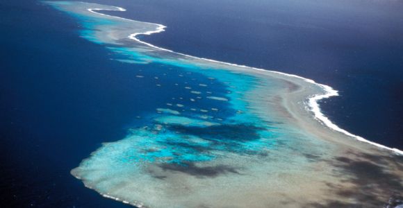 gran-barrera-coral-australia-reuters.jpg