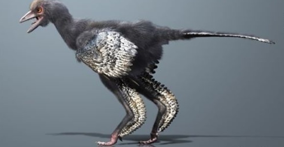ancestro-aves.jpg