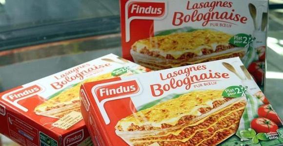 lasana-findus-efe-.JPG