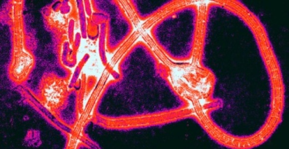 ebola-2014.jpg