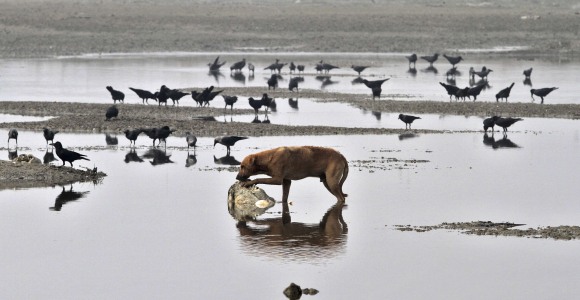 rio-ganges-reuters.jpg
