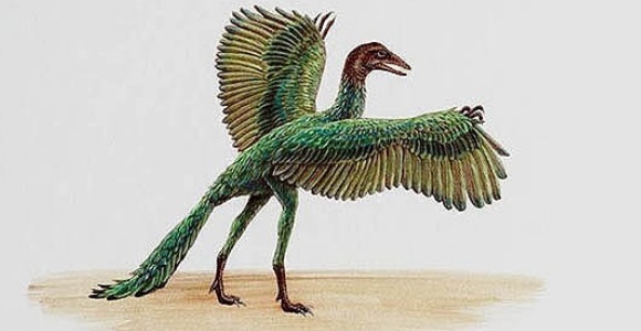 Archaeopteryx-efe.jpg