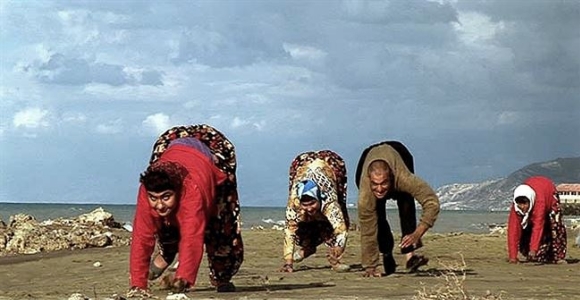humanos-cuadrupedos-bbc.jpg