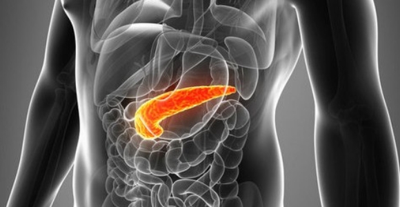 cancer-pancreas-archivo.jpg