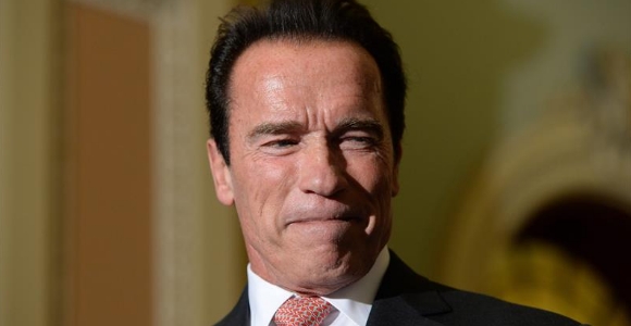 schwarzenegger-efe.jpg