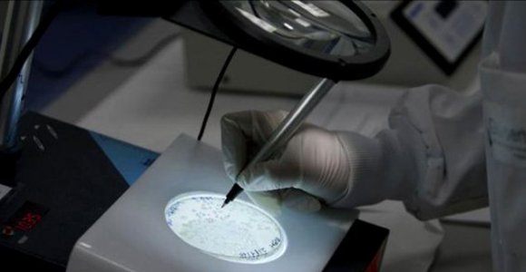 nanocelulosa-efe-4.jpg