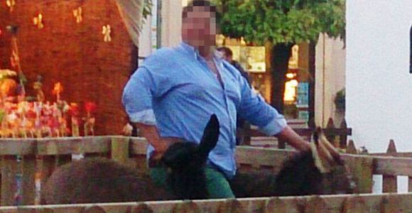 Burro-obeso-Andalucia.jpg