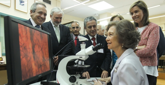 reina-csic-efe.jpg