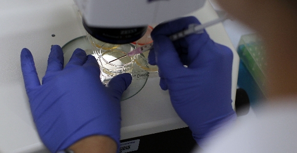 laboratorio-getty.jpg