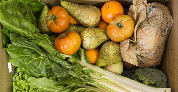 alimentos-autenticos.jpg
