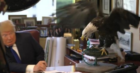trump-aguila.jpg