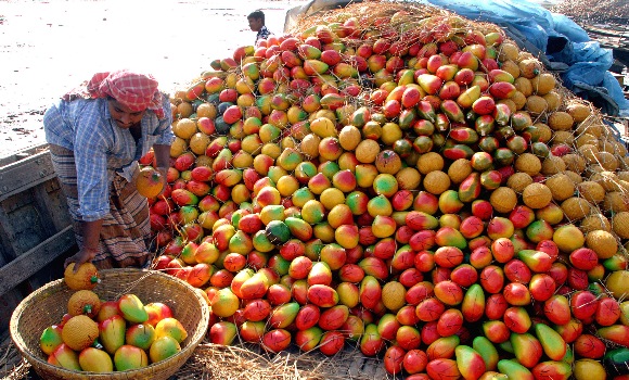 recoleccion-mango-reuters.jpg