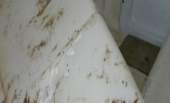 tabla-surf.jpg