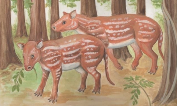 ancestros-caballo-ep.jpg
