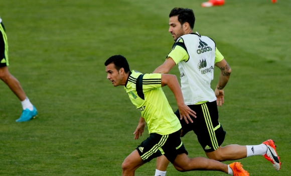 cesc-pedro-espana-efe.jpg