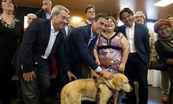 pedrosanchez-perritofe.jpg