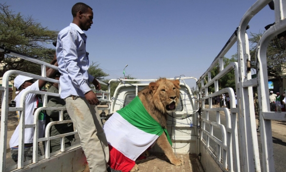 reuters-somaliland.jpg