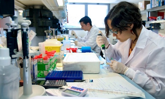 estudios-contra-cancer.jpg