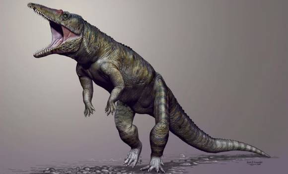 cocodrilo-dinosaurio-ep.jpg