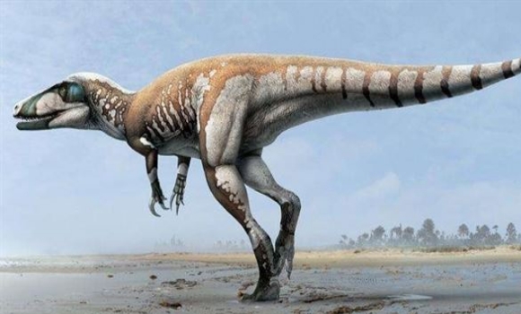 dinosaurio-carnivoro-gondwana-580x350.jpg