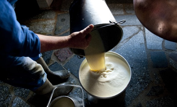 elaboracion-queso-getty.jpg