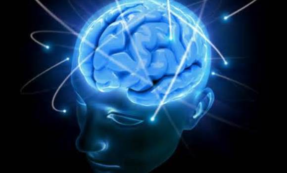 cerebro-conexiones.jpg