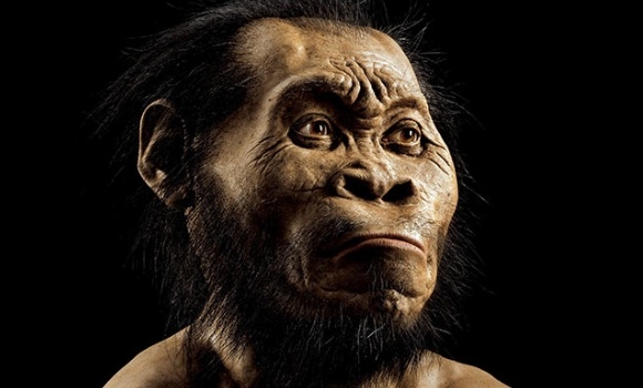 homo-naledi--580x350.jpg