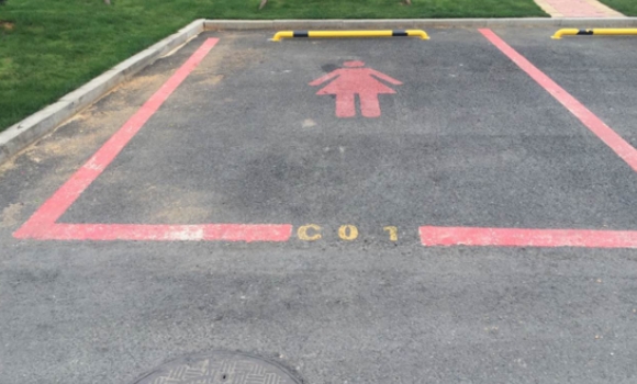 plazas-coche-rosas.jpg