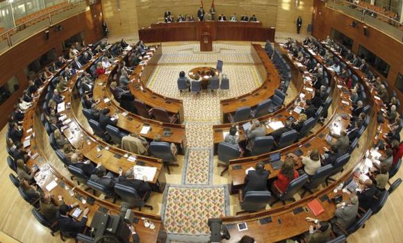 asamblea-madrid-efe.jpg