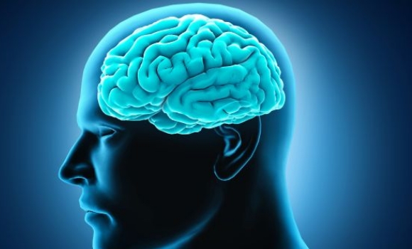 cerebro-ciencia-efe-580-350.jpg