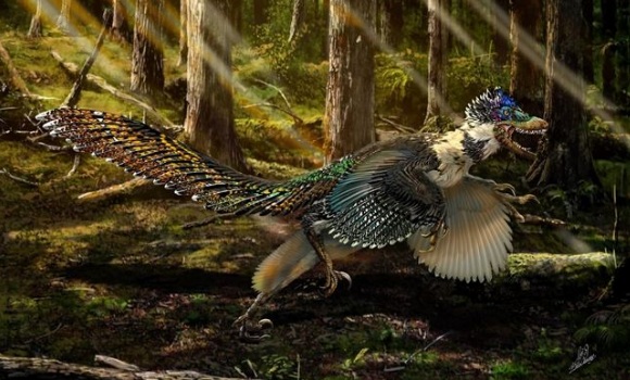 velociraptor-chang-zhao.jpg
