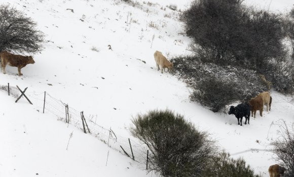 nieve-sierra.jpg