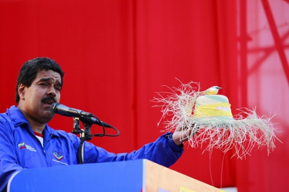 maduro-pajarito.jpg
