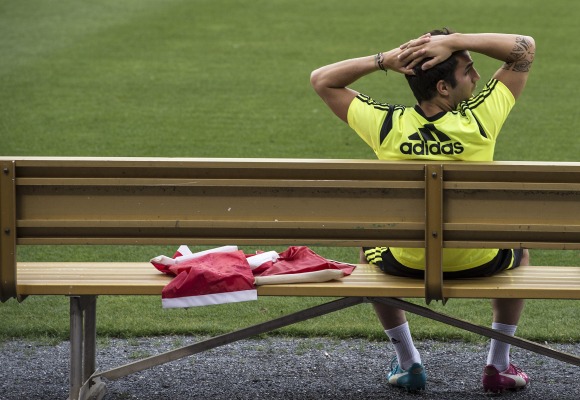 Cesc-Banco-bosteza-espana-2014-efe.jpg