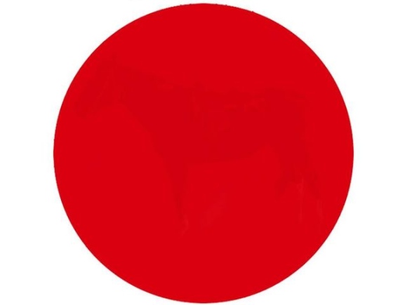 circulo-caballo.jpg