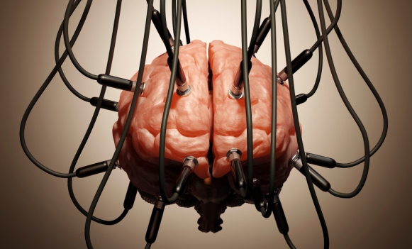 cerebro-istock.jpg