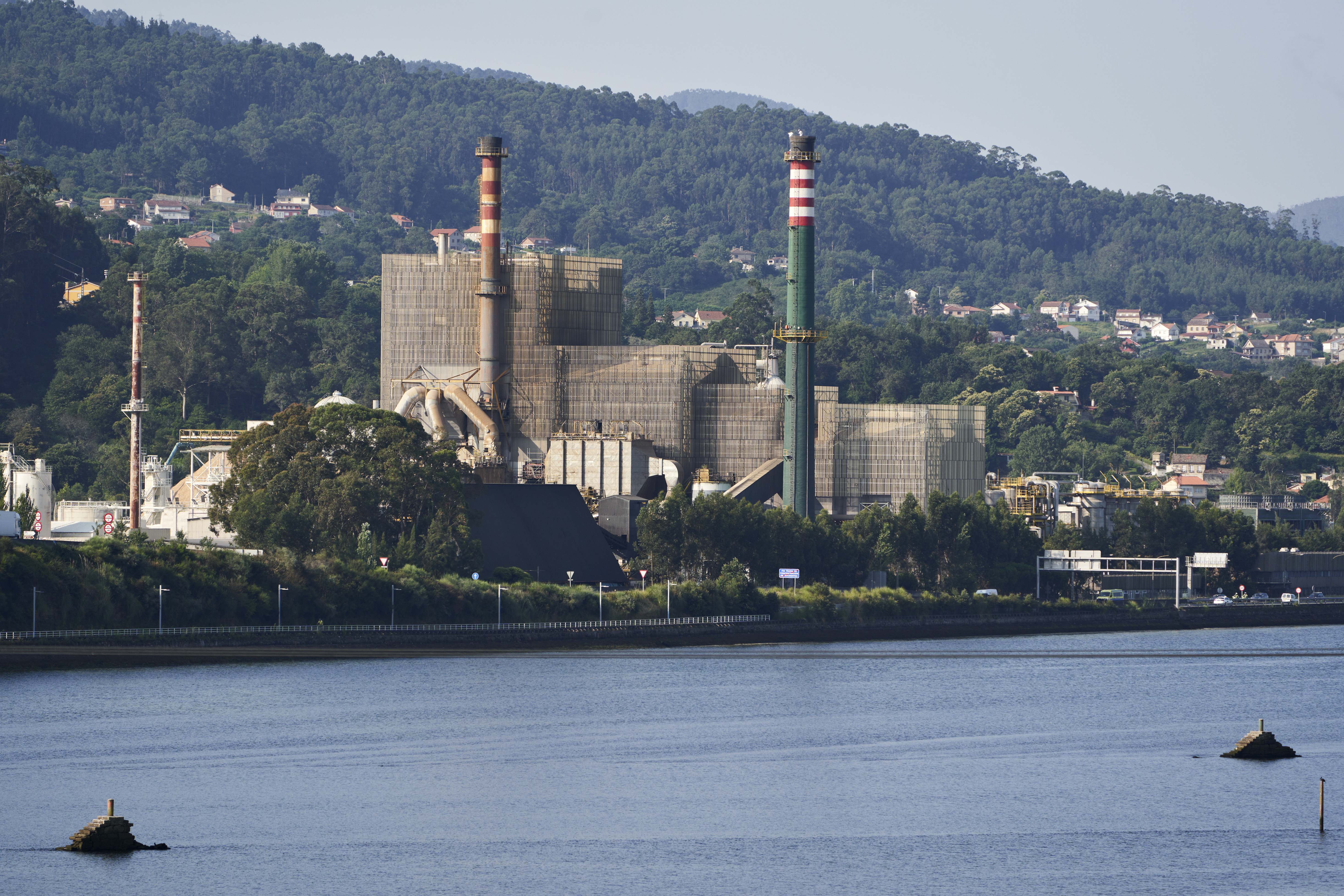 Ence planta de biomasa