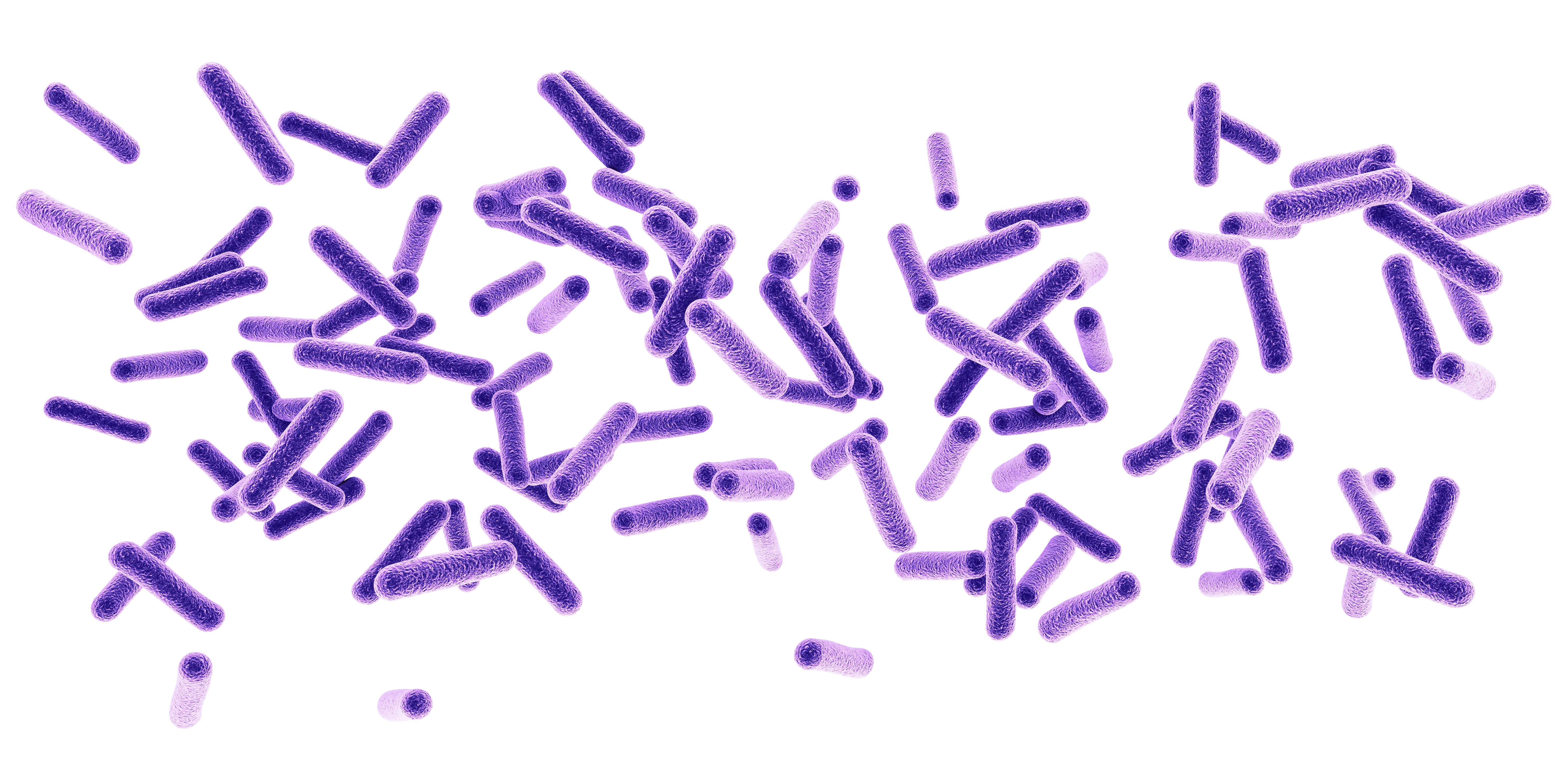 Bacterias.