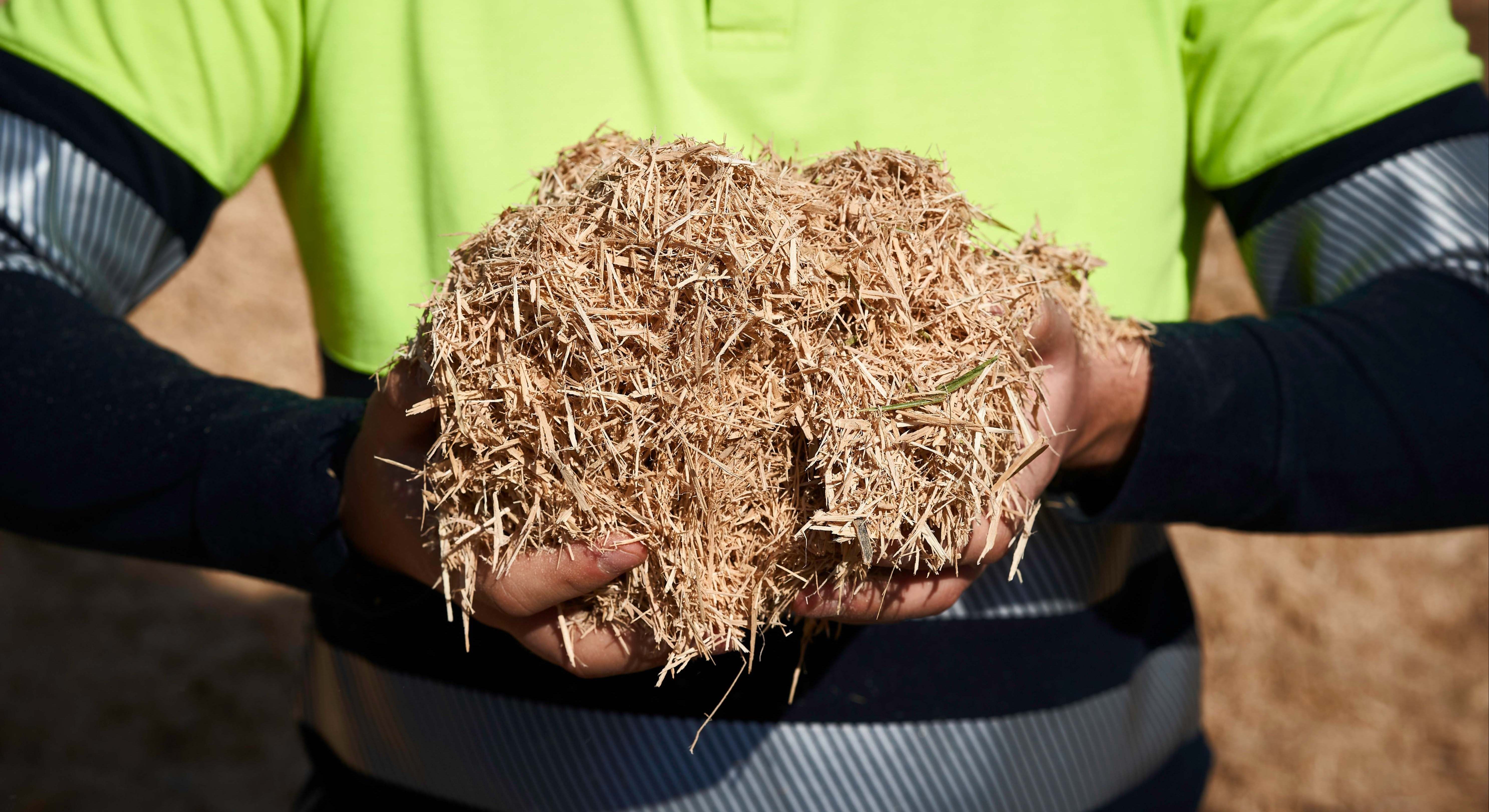 ence biogas fertilizantes