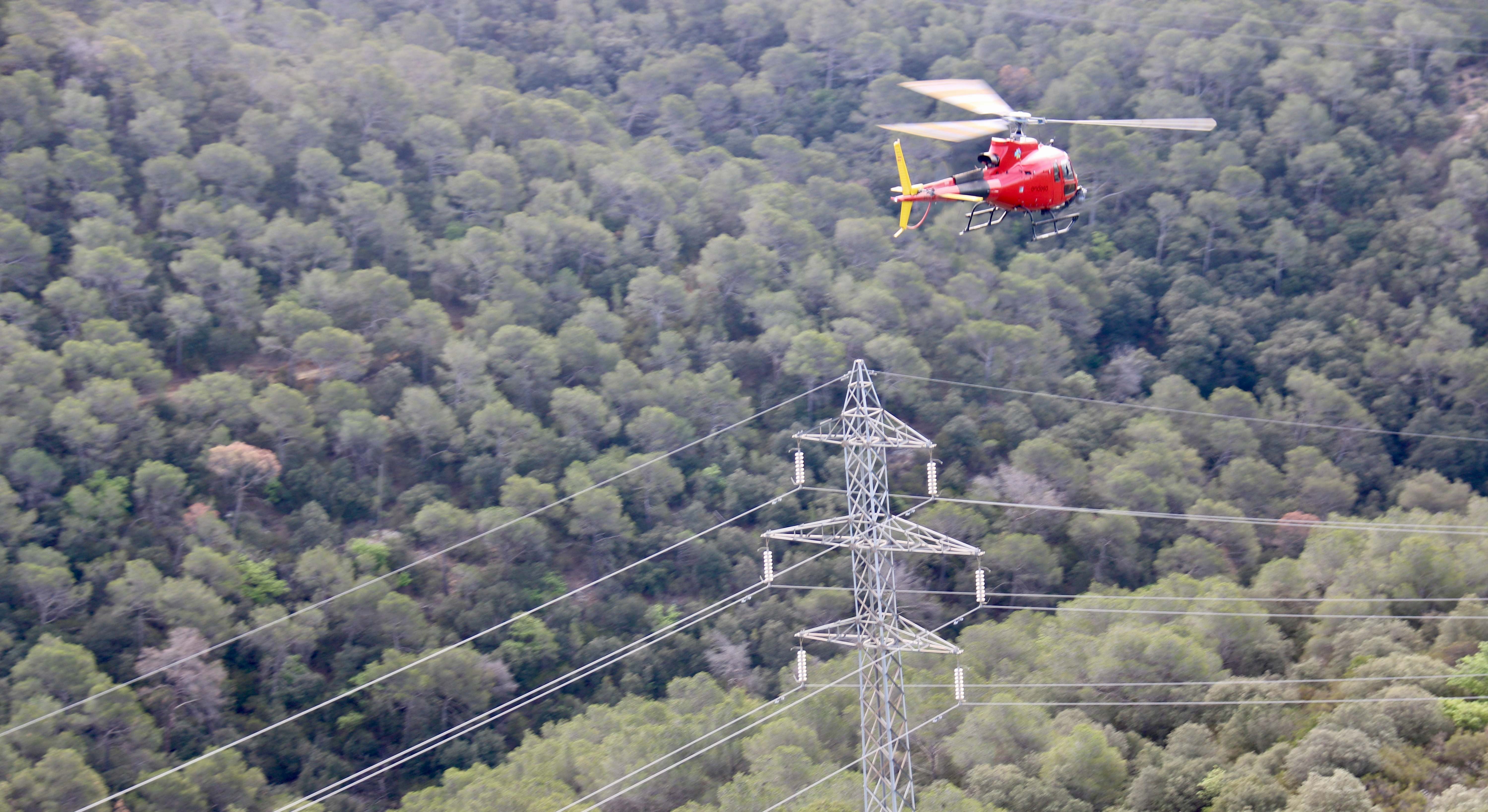 Revisionconhelicoptero.jpeg