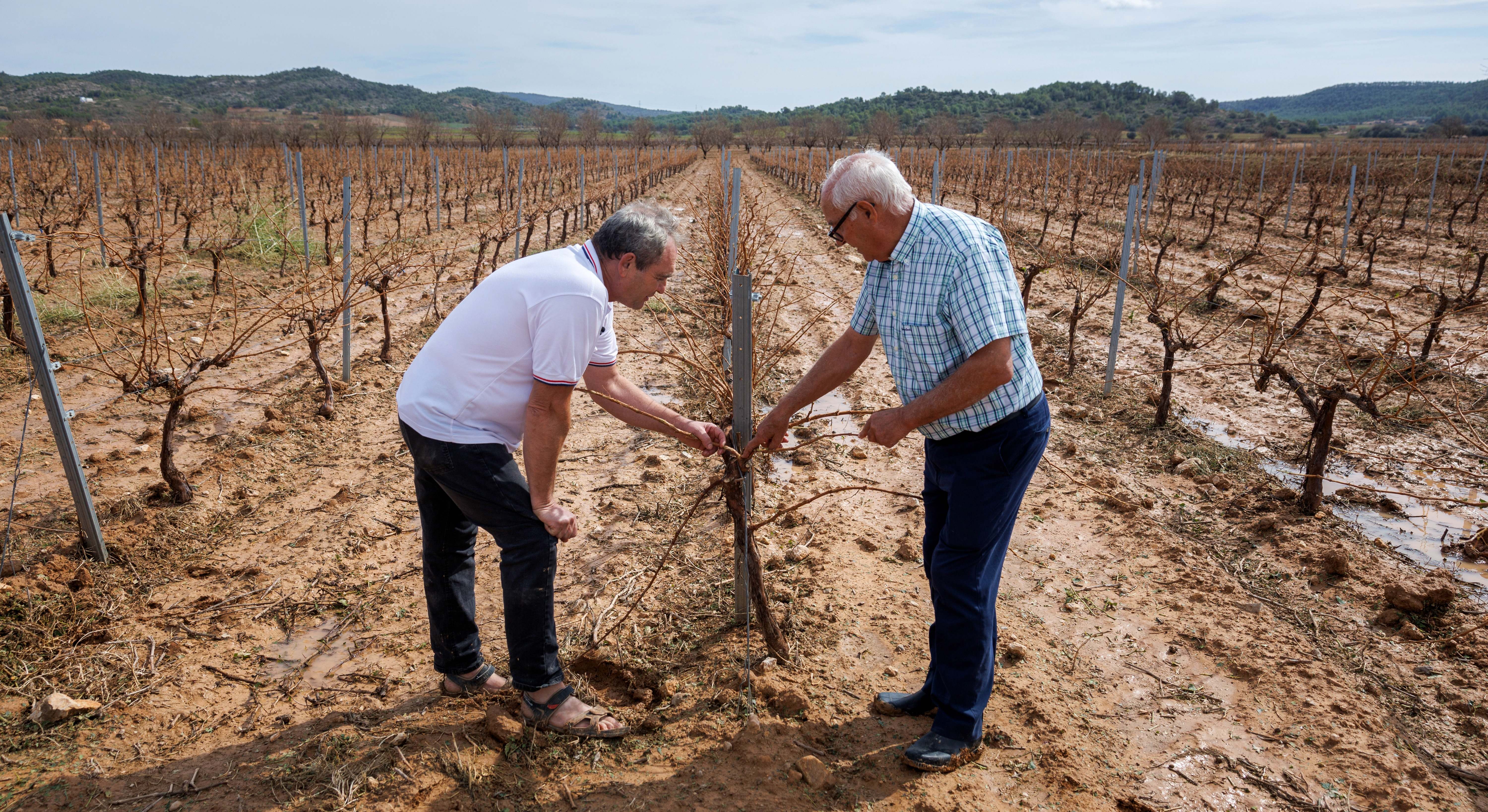 Temporal agricultores