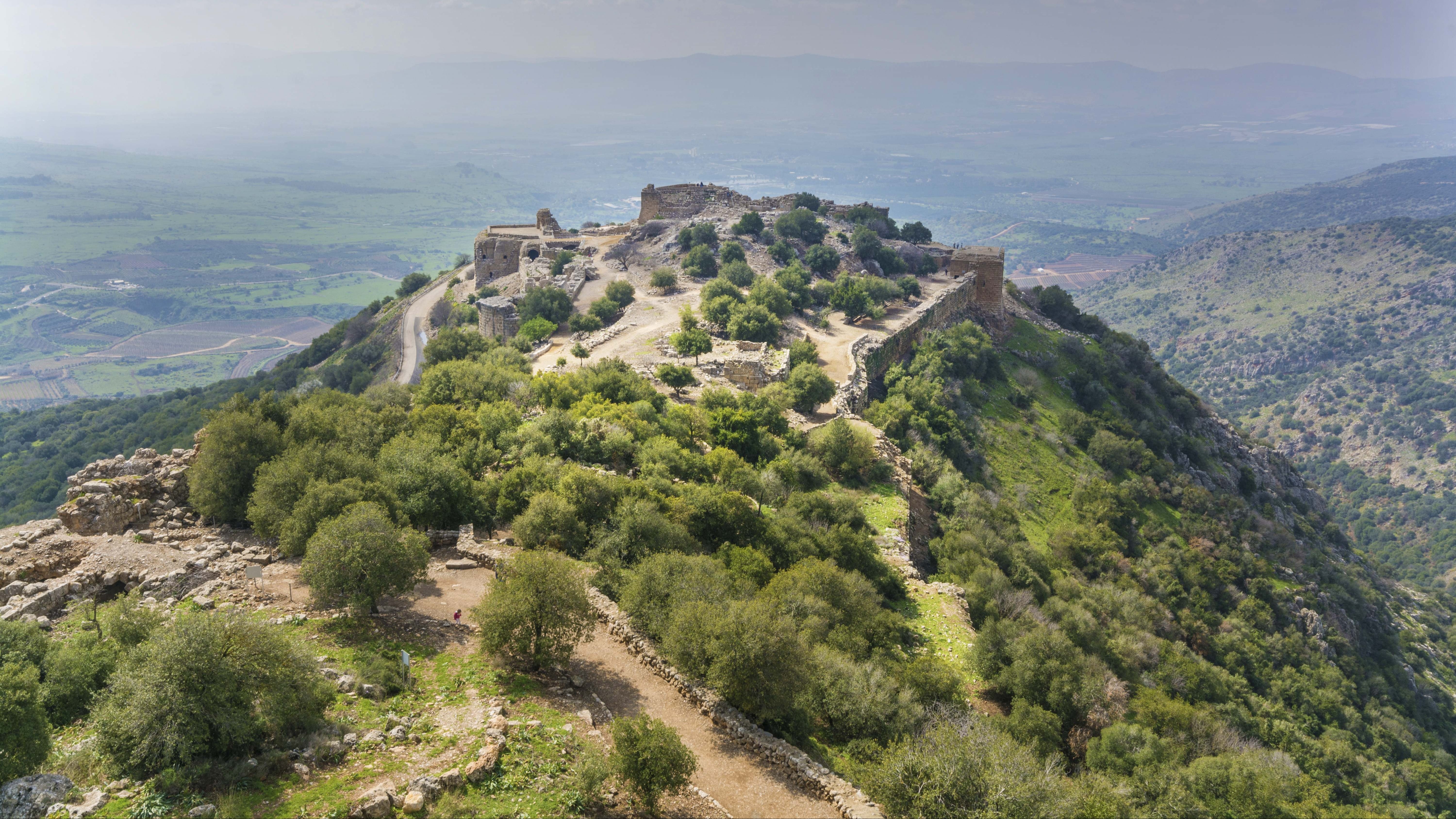 Altos del Golán 