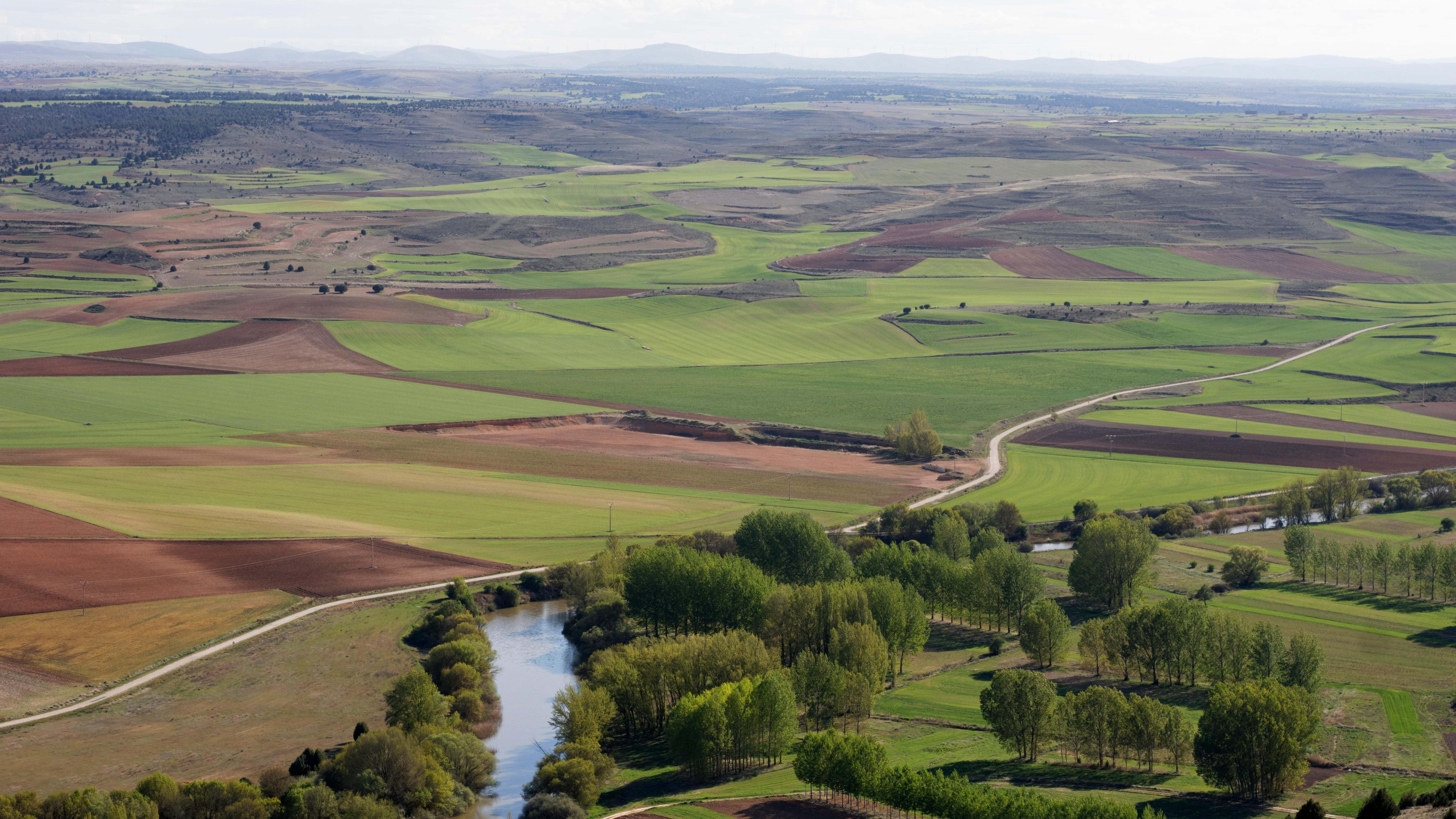 Vista de terrenos