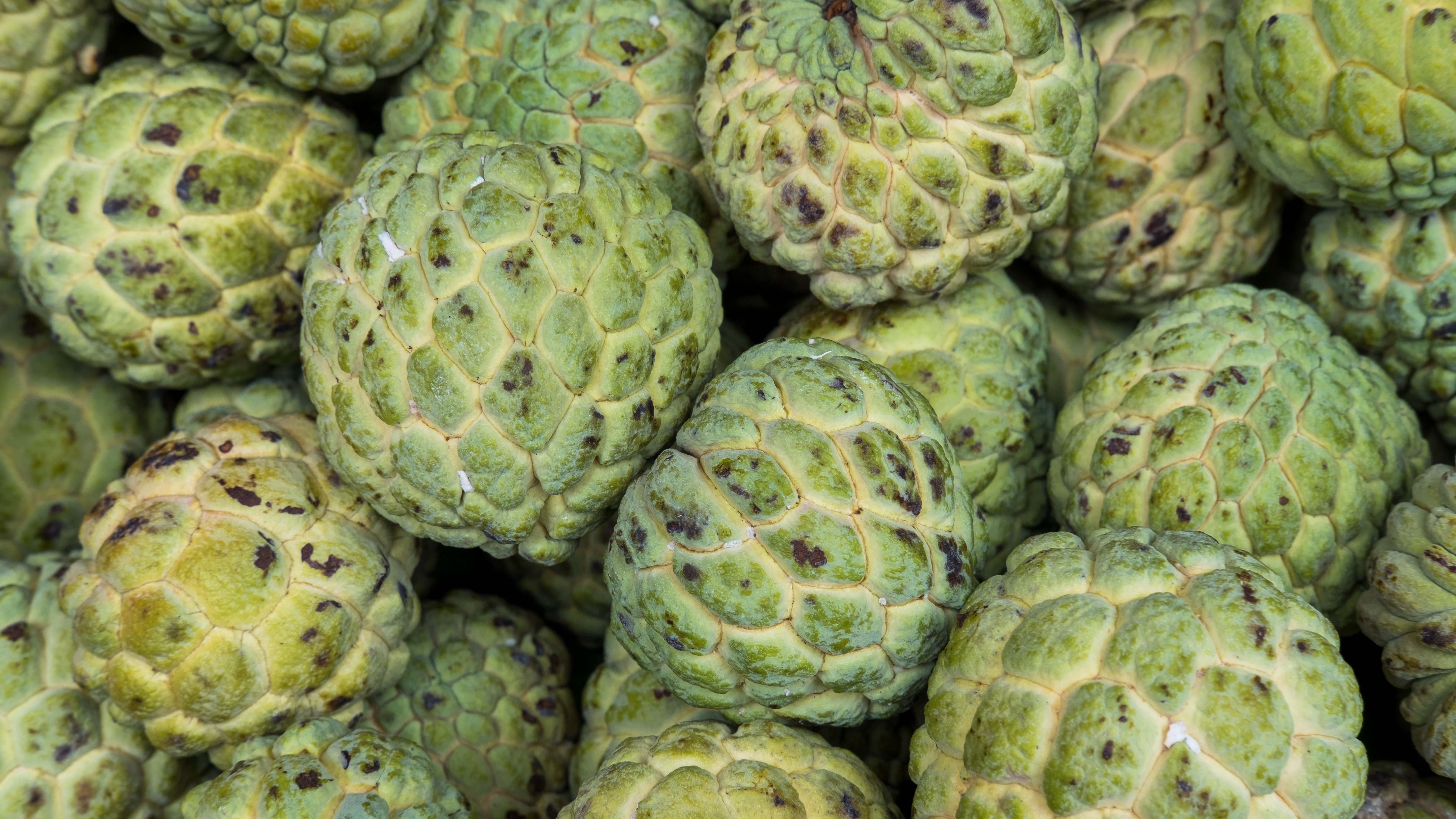 Descubre los beneficios de incluir chirimoyas en tu dieta diaria. Explora toda la información sobre esta fruta exótica