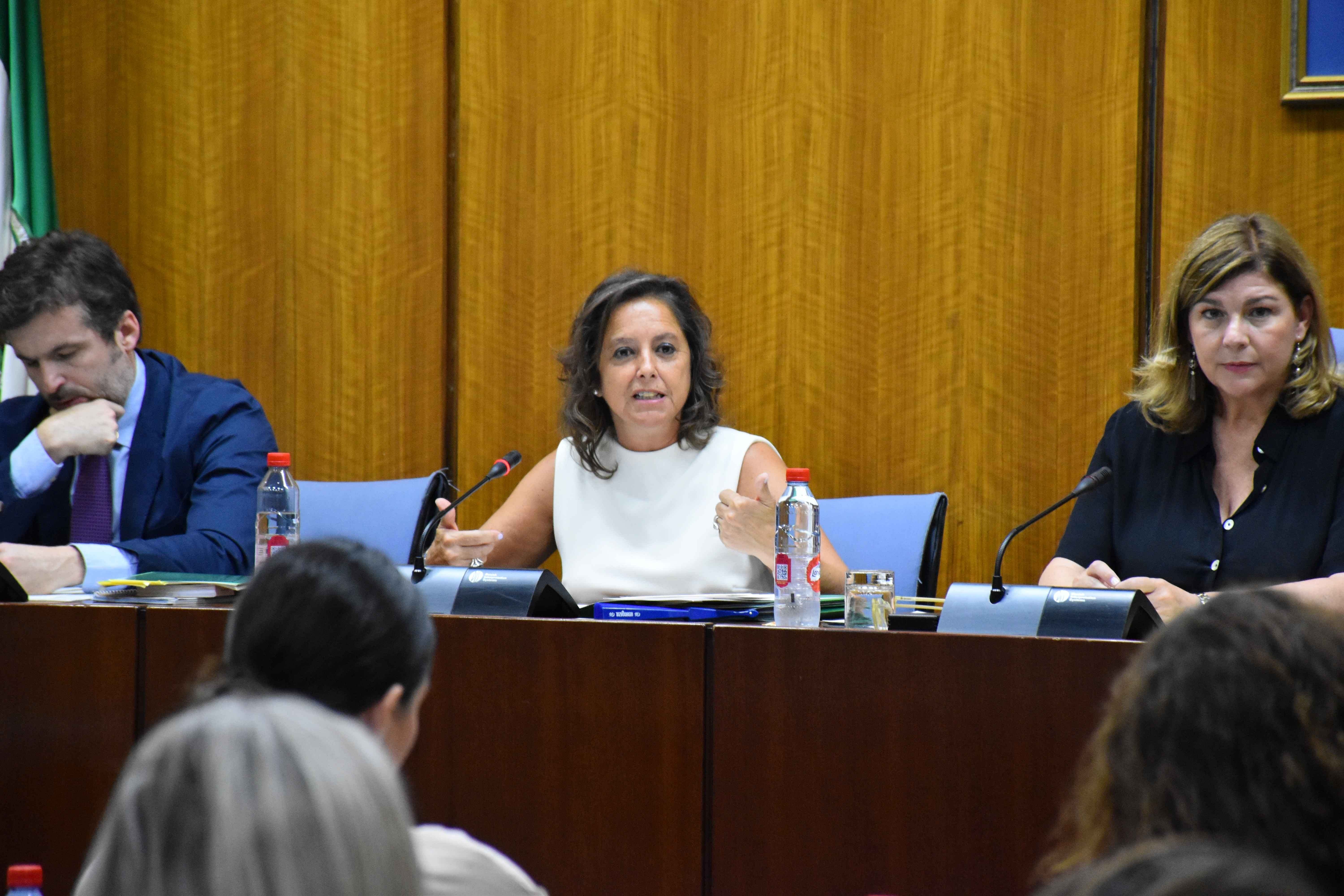 EuropaPress_5339407_consejera_salud_consumo_junta_andalucia_catalina_garcia_comision_infancia-1.jpg