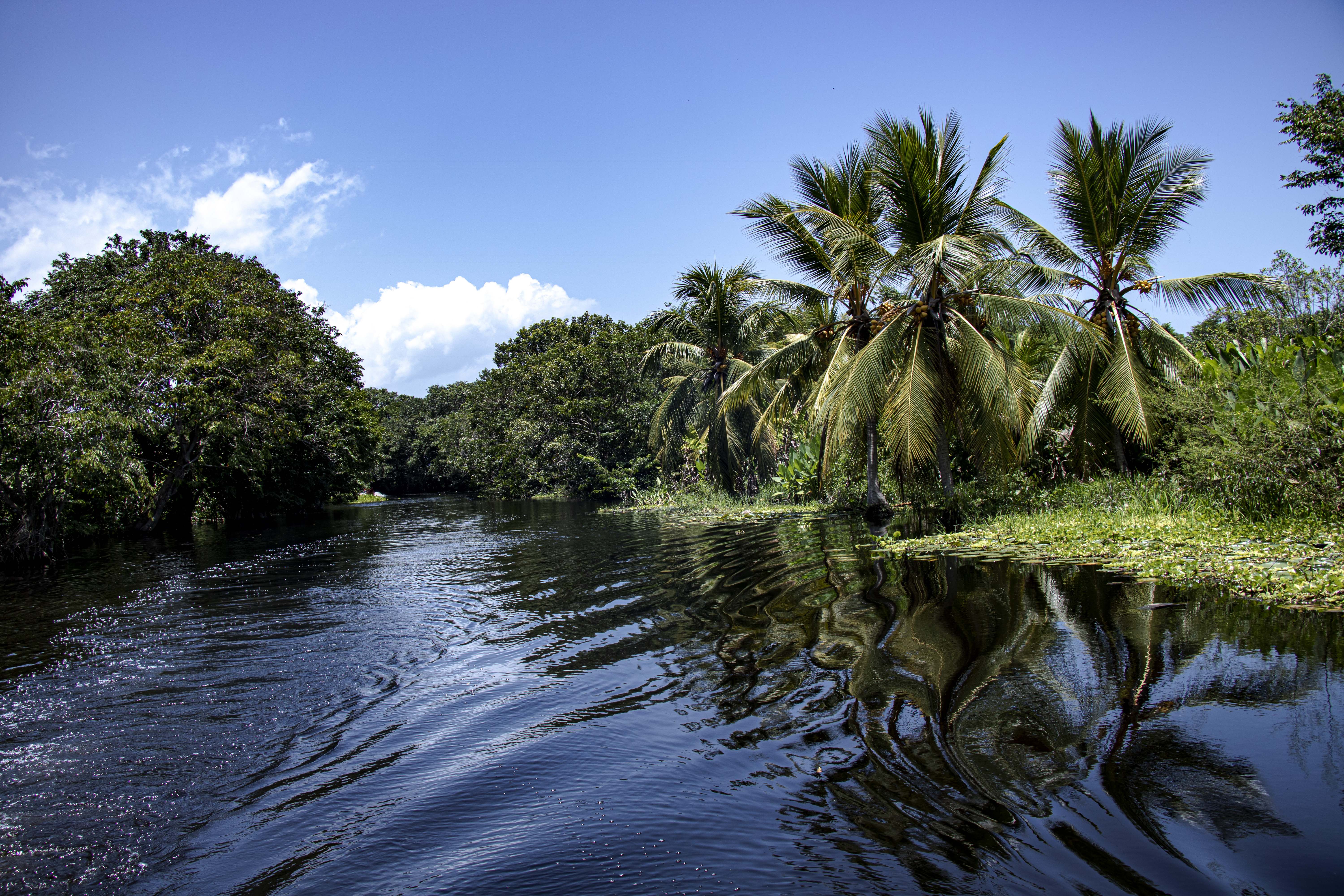 El Canal del Dique permitirá la reforestación y restauración de los ecosistemas forestales aledaños.